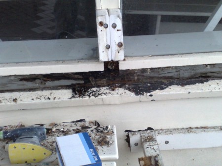 Houtrot verwijderen, Amsterdams grachtenpand, buffet van odette